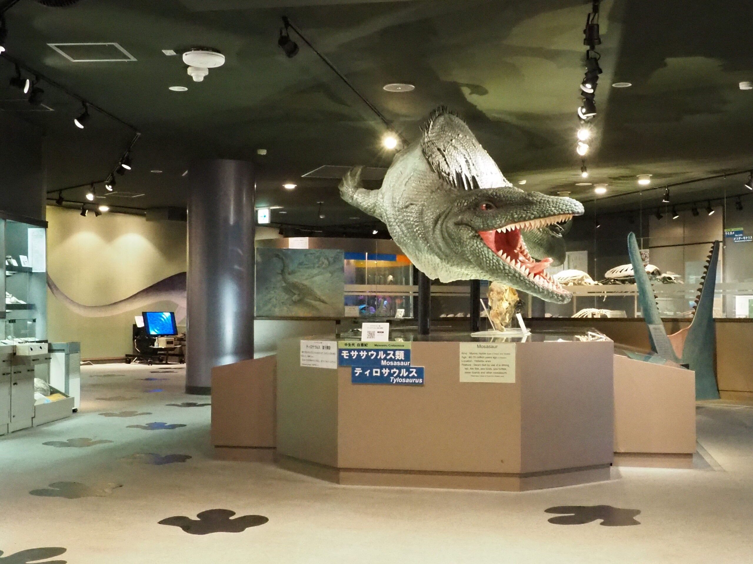 🏛️ 무카와정립 호베츠 박물관 (むかわ町立穂別博物館) 이미지 9